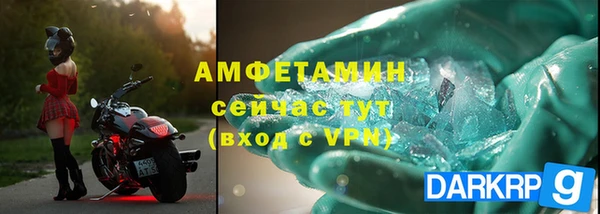 хмурый Абаза