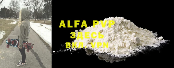 хмурый Абаза