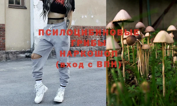 ГАЛЛЮЦИНОГЕННЫЕ ГРИБЫ Абинск