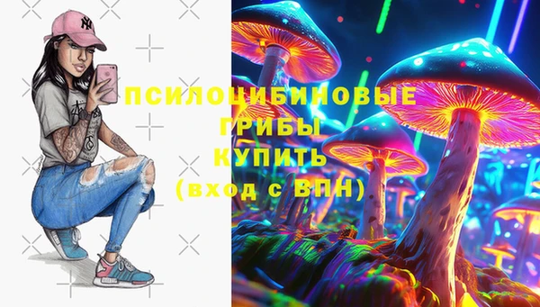 ГАЛЛЮЦИНОГЕННЫЕ ГРИБЫ Абинск