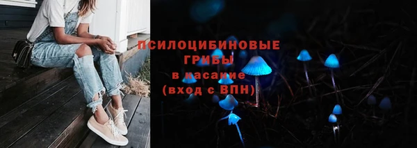 ГАЛЛЮЦИНОГЕННЫЕ ГРИБЫ Абинск