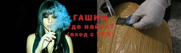 хмурый Абаза