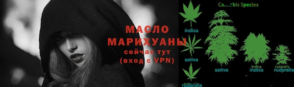 хмурый Абаза