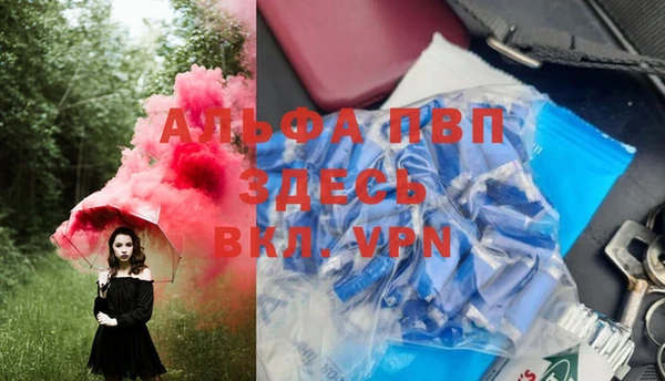 хмурый Абаза