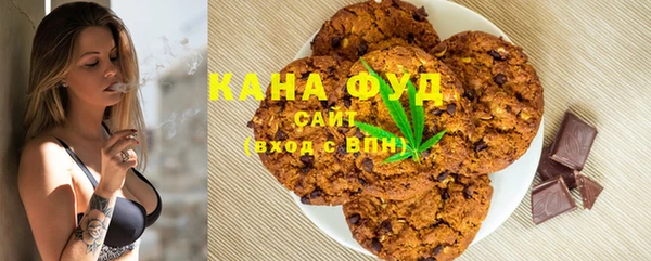 шишки Покачи