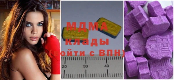 хмурый Абаза